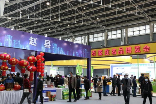 鑫慶余·石家莊名品博覽會(huì) 三千精品薈萃，共繪產(chǎn)業(yè)新圖景